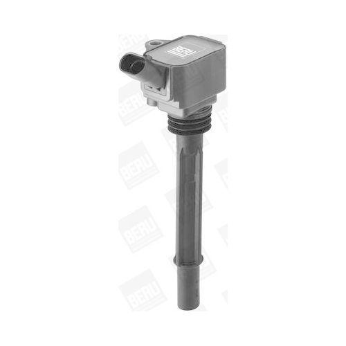 BorgWarner (BERU) Z&uuml;ndspule ZS588