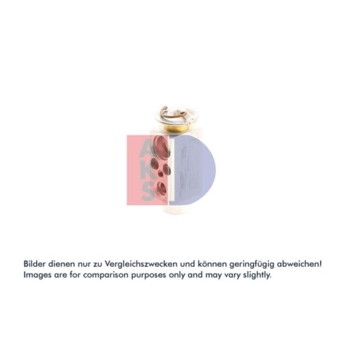 AKS DASIS Expansionsventil, Klimaanlage 840310N