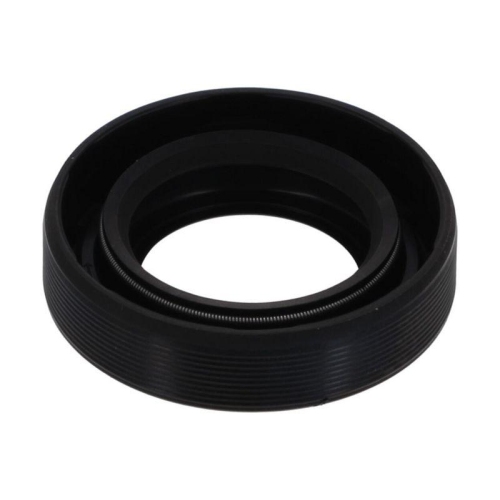 PAYEN Wellendichtring, Differential NA5204