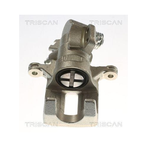 TRISCAN Bremssattel 8175 40228