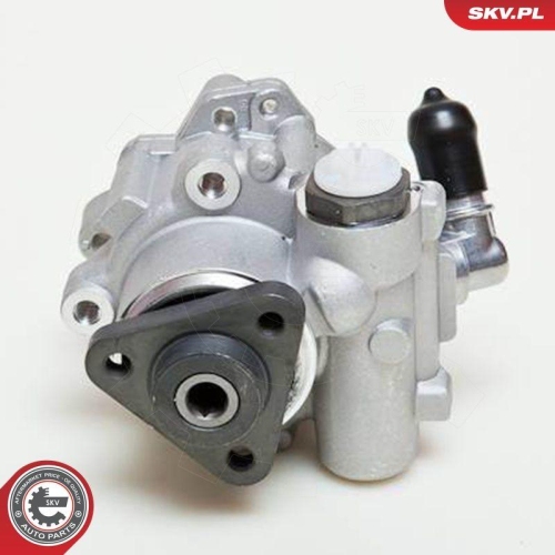 ESEN SKV Hydraulikpumpe, Lenkung 10SKV049