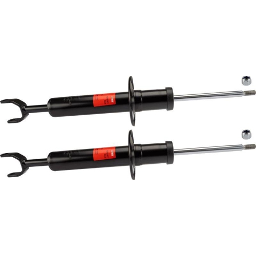 TRW Stoßdämpfer TRW TWIN