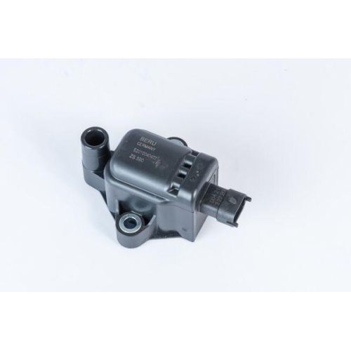 BorgWarner (BERU) Z&uuml;ndspule ZS590