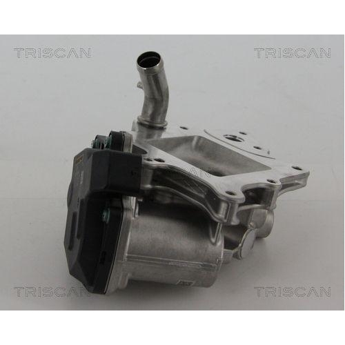 TRISCAN AGR-Ventil 8813 15205
