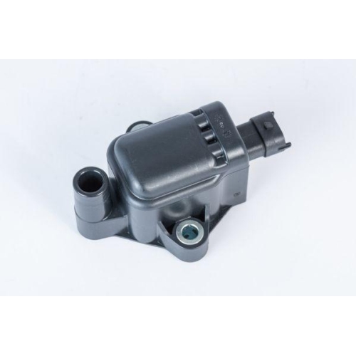 BorgWarner (BERU) Z&uuml;ndspule ZS593