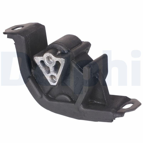 DELPHI Lagerung, Motor TEM060