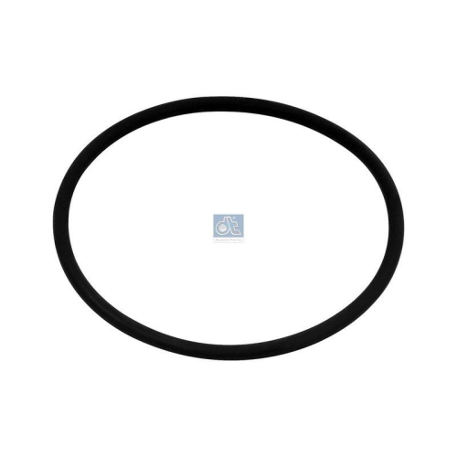 DT Spare Parts Dichtring 4.20620