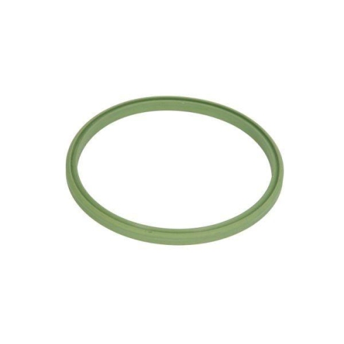 THERMOTEC Dichtring, Ladeluftschlauch DCM070TT