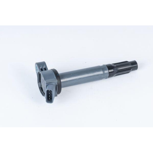 BorgWarner (BERU) Z&uuml;ndspule ZSE202