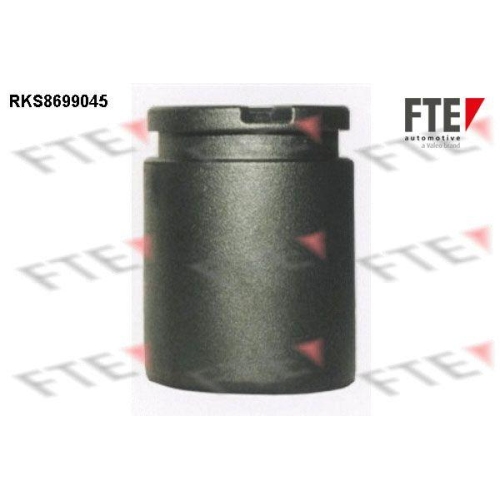 FTE Kolben, Bremssattel 9313103