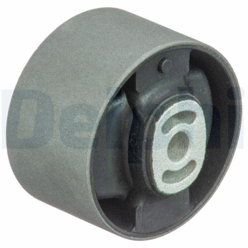 DELPHI Lagerung, Motor TEM064