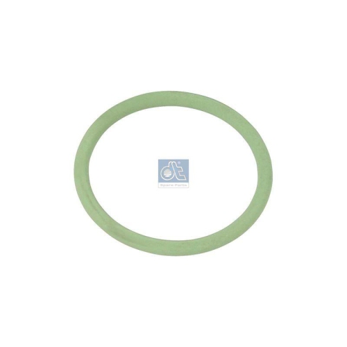 DT Spare Parts Dichtring 4.20696