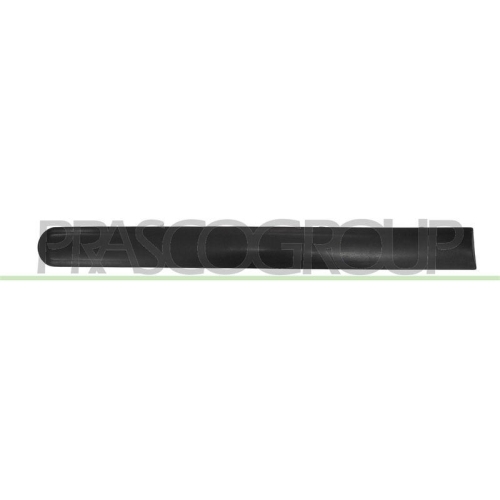 PRASCO Zier-/Schutzleiste, T&uuml;r FD9301453