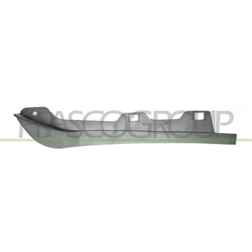 PRASCO Spoiler AD0241804