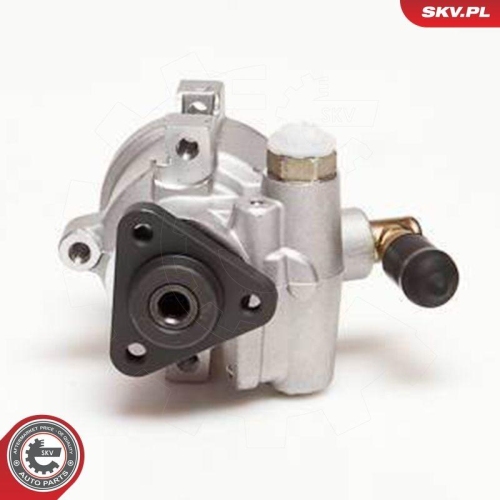 ESEN SKV Hydraulikpumpe, Lenkung 10SKV053