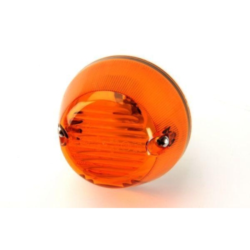 TRUCKLIGHT Blinkleuchte CL-MA001