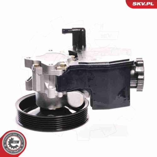 ESEN SKV Hydraulikpumpe, Lenkung 10SKV139