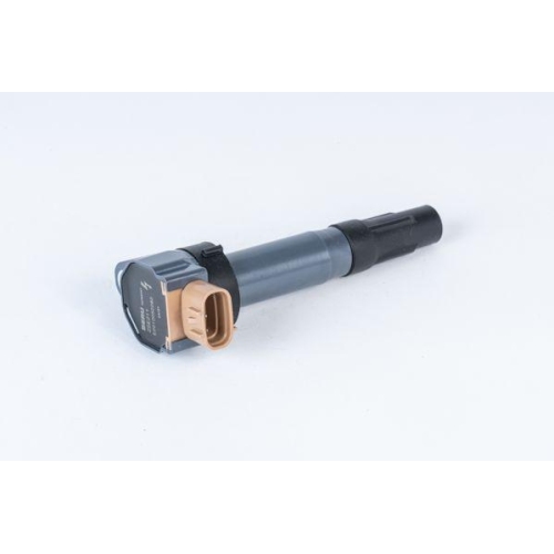 BorgWarner (BERU) Z&uuml;ndspule ZSE211