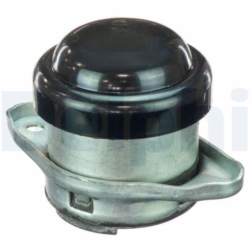 DELPHI Lagerung, Motor TEM077