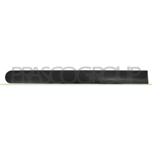 PRASCO Zier-/Schutzleiste, T&uuml;r FD9301454