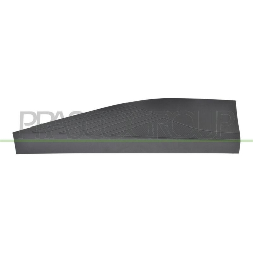 PRASCO Zier-/Schutzleiste, T&uuml;r MG2001453