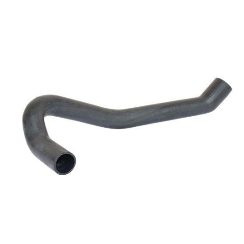 BUGIAD Ladeluftschlauch 88770