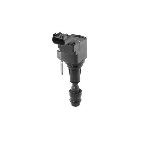 BorgWarner (BERU) Z&uuml;ndspule ZSE212