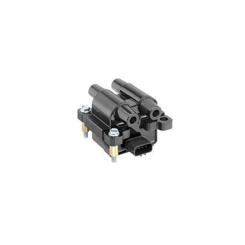 BorgWarner (BERU) Z&uuml;ndspule ZSE218