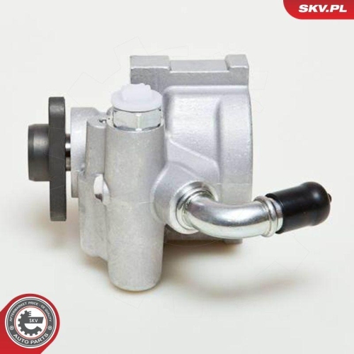 ESEN SKV Hydraulikpumpe, Lenkung 10SKV061