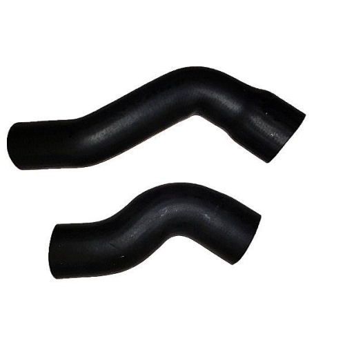 BUGIAD Ladeluftschlauch 88779