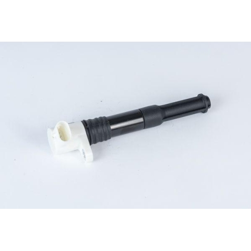BorgWarner (BERU) Z&uuml;ndspule ZSE219