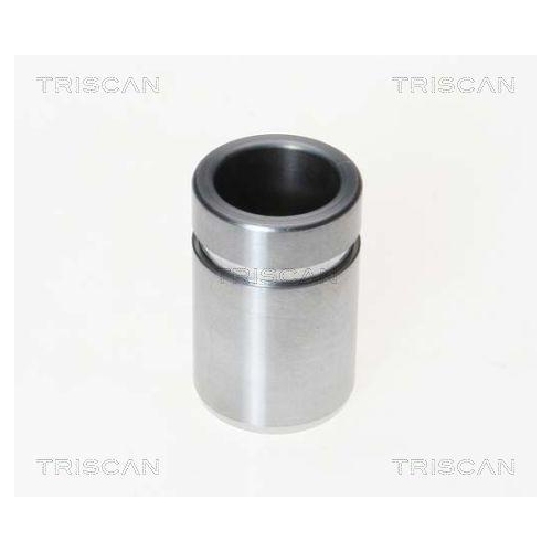 TRISCAN Kolben, Bremssattel 8170 233022