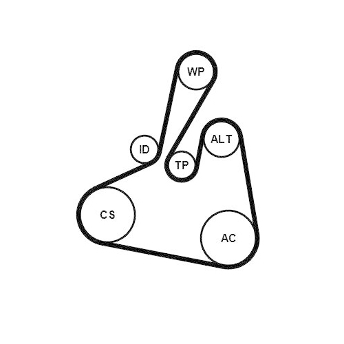CONTINENTAL CTAM Keilrippenriemensatz 6PK1502 EXTRA K1