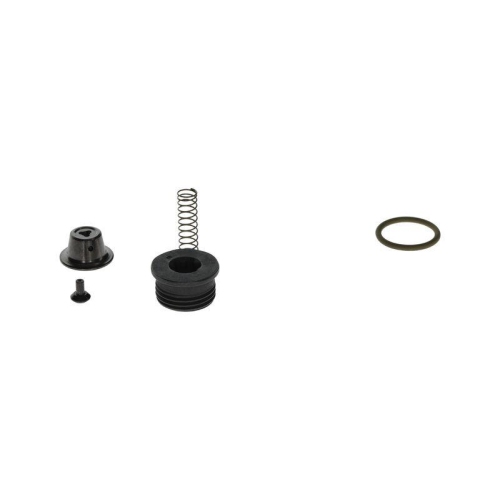 BOSCH Reparatursatz, Common-Rail-System F 00N 203 059