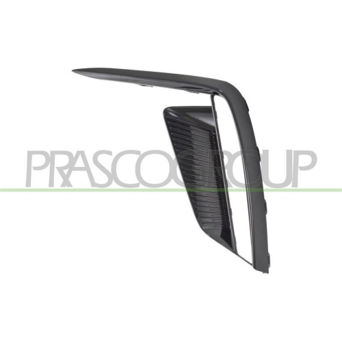 PRASCO L&uuml;ftungsgitter, Sto&szlig;f&auml;nger MG2002134