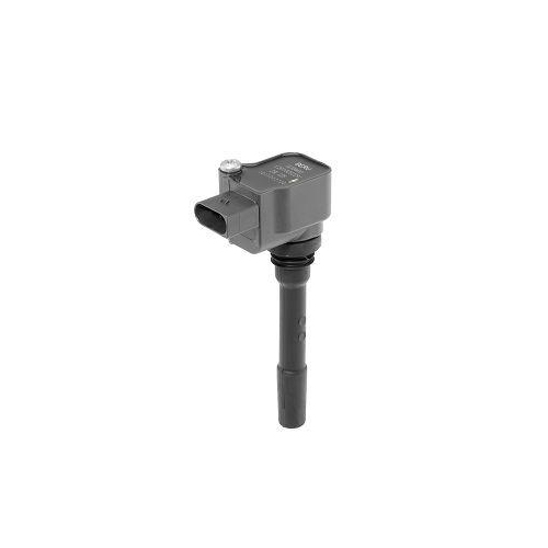 BorgWarner (BERU) Z&uuml;ndspule ZSE225