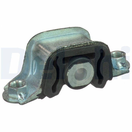 DELPHI Lagerung, Motor TEM110