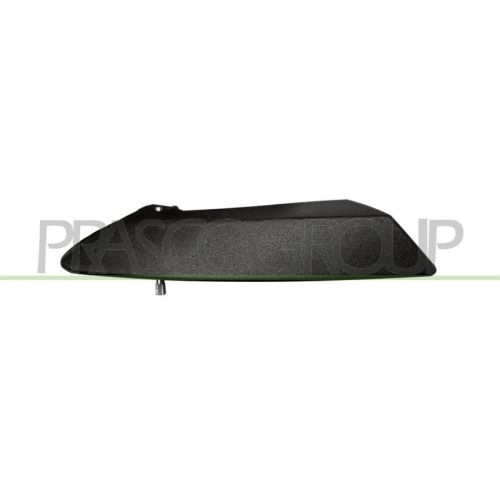PRASCO T&uuml;rgriff, Innenausstattung FT3428801