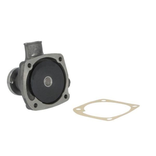 THERMOTEC Wasserpumpe, Motork&uuml;hlung WP-DZ113