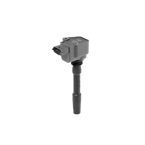 BorgWarner (BERU) Z&uuml;ndspule ZSE226