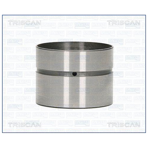 TRISCAN Ventilst&ouml;&szlig;el 80-29007