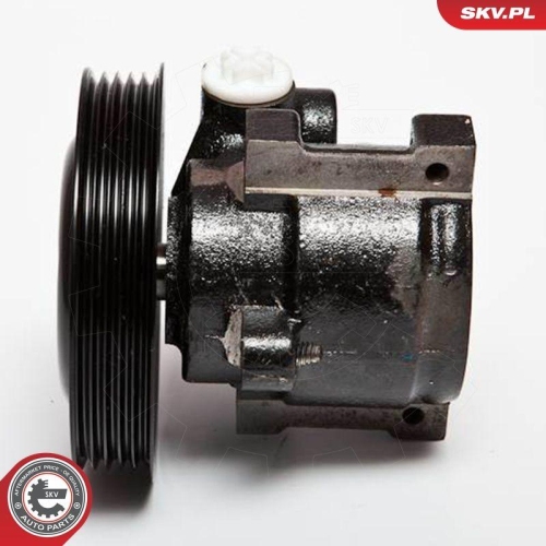 ESEN SKV Hydraulikpumpe, Lenkung 10SKV065
