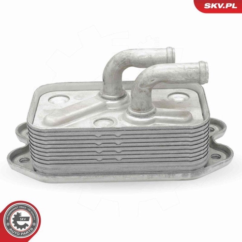 ESEN SKV &Ouml;lk&uuml;hler, Motor&ouml;l 31SKV305