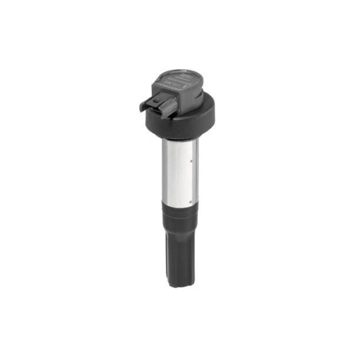 BorgWarner (BERU) Z&uuml;ndspule ZSE227