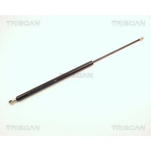TRISCAN Gasfeder, Koffer-/Laderaum 8710 1001
