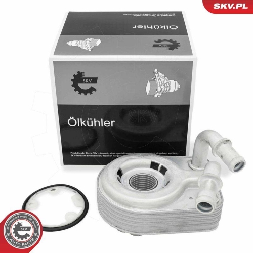 ESEN SKV &Ouml;lk&uuml;hler, Motor&ouml;l 31SKV310
