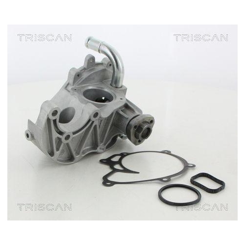 TRISCAN Wasserpumpe, Motork&uuml;hlung 8600 80019
