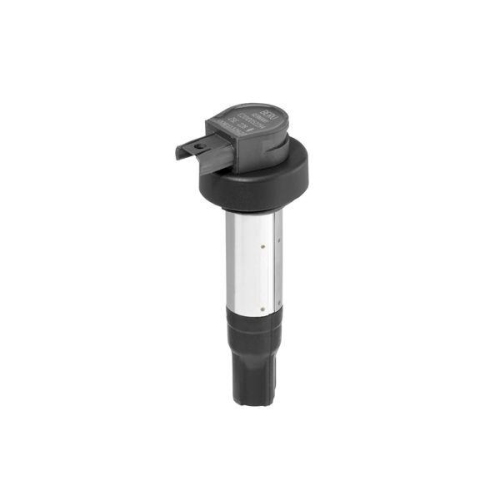 BorgWarner (BERU) Z&uuml;ndspule ZSE228