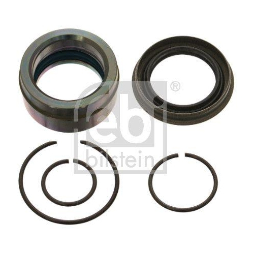 FEBI BILSTEIN Reparatursatz, Kippzylinder 46252