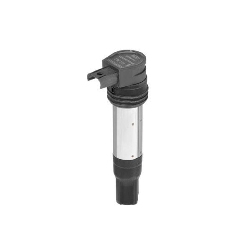 BorgWarner (BERU) Z&uuml;ndspule ZSE229